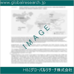グローバルリサーチ調査資料のイメージ